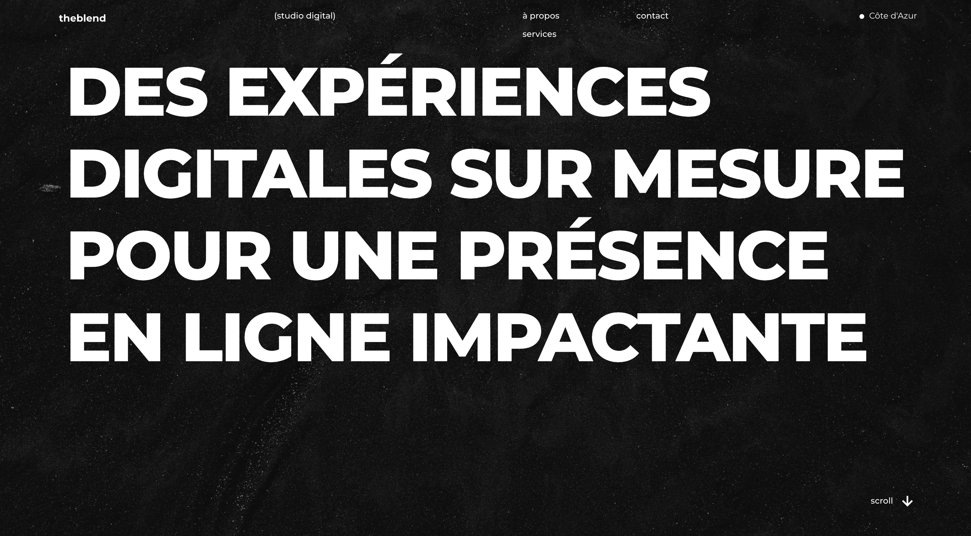 Aperçu du projet TheBlend